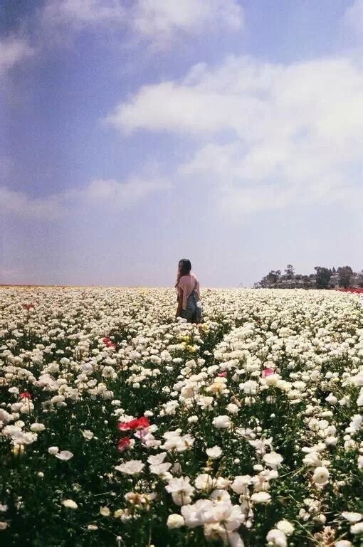 曲阜求职:想在寒假时间找一个发传单的工作_求