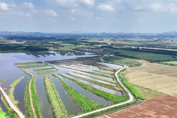 曲阜这里“边角料”拼出“致富图”